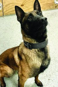 K9 Astro